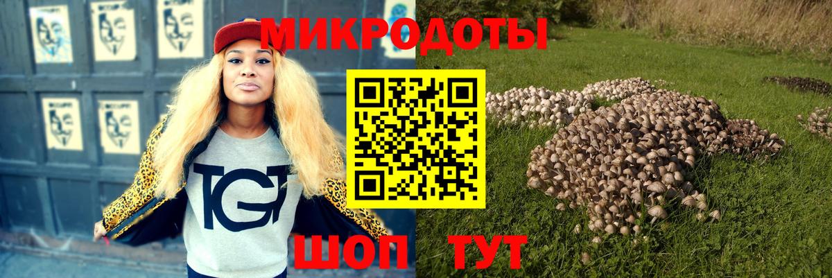 Псилоцибиновые грибы Cubensis  Вход с VPN  Нерюнгри 